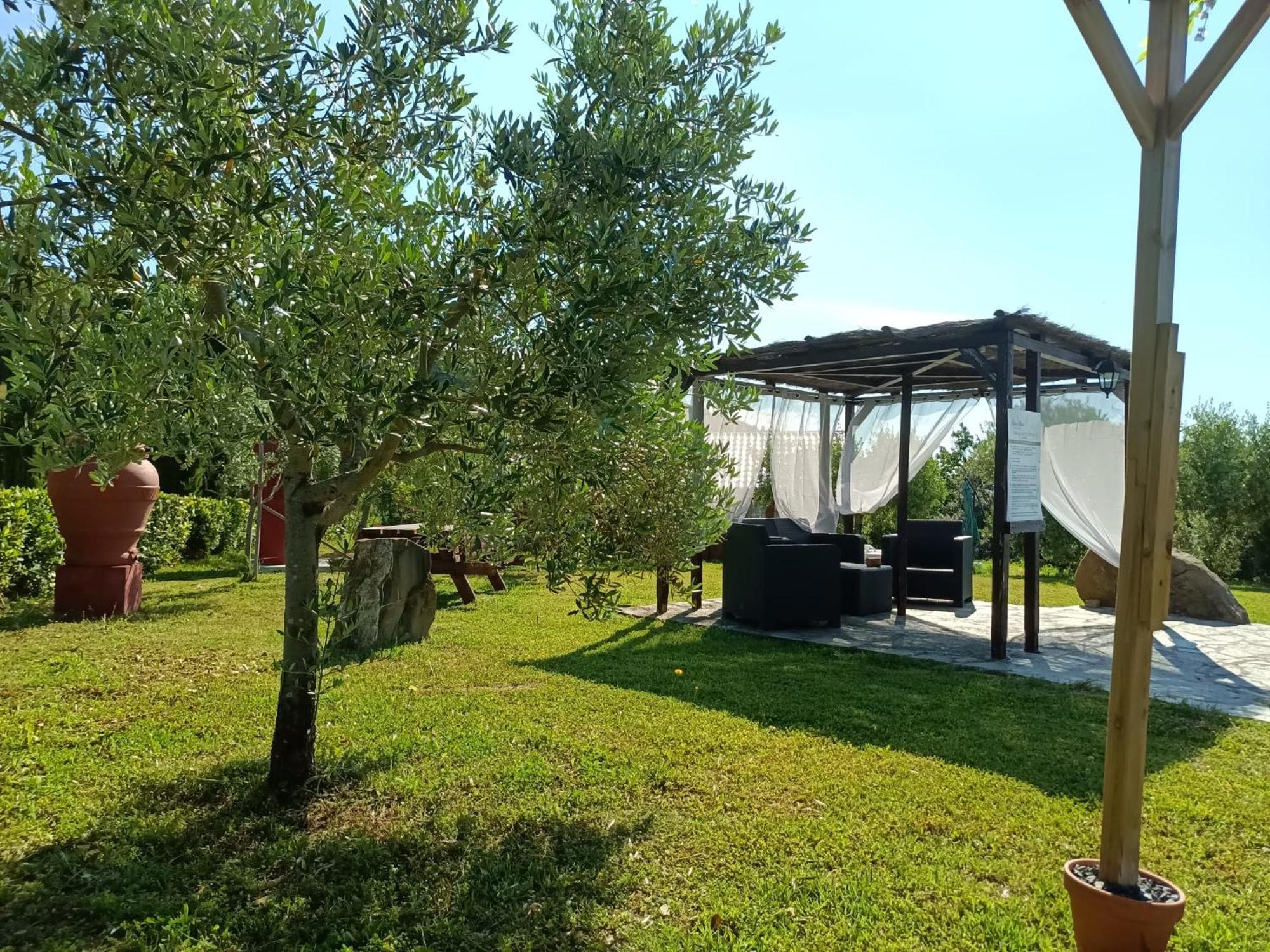 Podere Oliveta Montecatini Val di Cecina Exteriör bild
