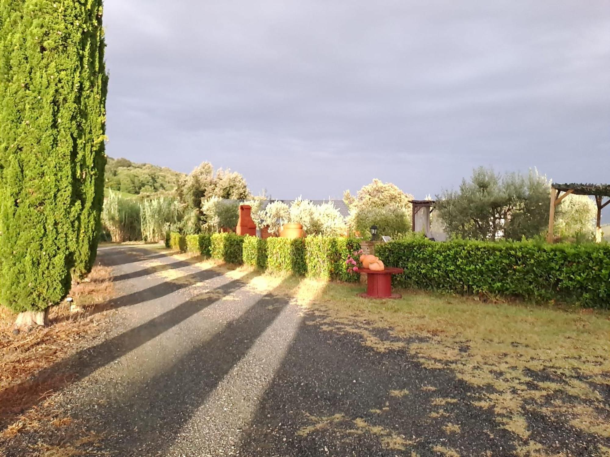 Podere Oliveta Montecatini Val di Cecina Exteriör bild